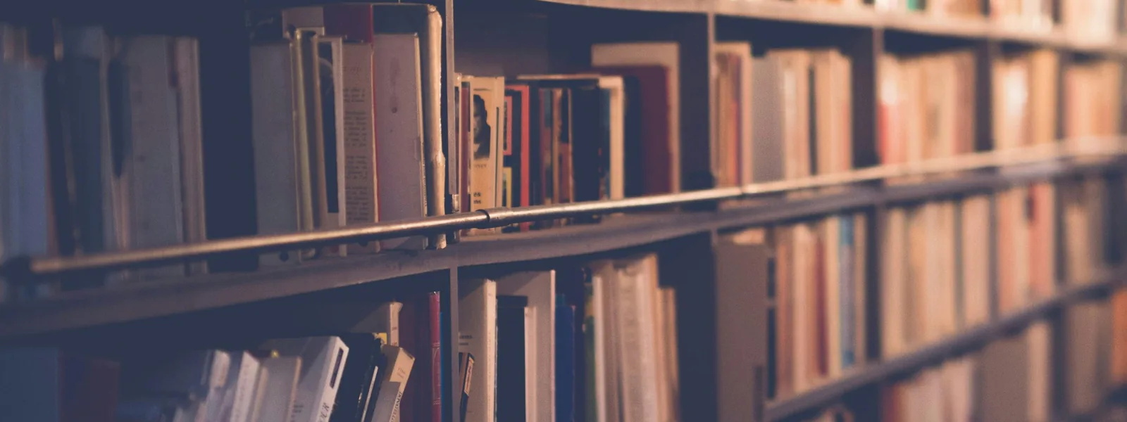 Bookshelves, mood image for the Projects block